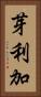 芽利加 Vertical Portrait