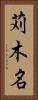 苅木名 Vertical Portrait