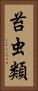 苔虫類 Vertical Portrait