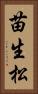 苗生松 Vertical Portrait