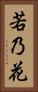 若乃花 Vertical Portrait