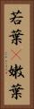 若葉(P) Vertical Portrait