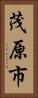 茂原市 Vertical Portrait