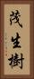 茂生樹 Vertical Portrait