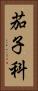 茄子科 Vertical Portrait
