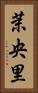 茉央里 Vertical Portrait