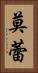 莫蕾 Vertical Portrait