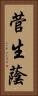 菅生蔭 Vertical Portrait