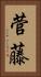 菅藤 Vertical Portrait