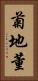 菊地董 Vertical Portrait