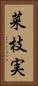 菜枝実 Vertical Portrait