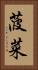 菠菜 Vertical Portrait