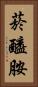 菸醯胺 Vertical Portrait
