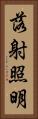 落射照明 Vertical Portrait