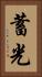 蓄光 Vertical Portrait
