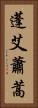蓬 Vertical Portrait