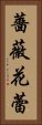 薔薇花蕾 Vertical Portrait