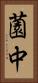 薗中 Vertical Portrait