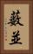 薮並 Vertical Portrait
