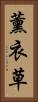 薰衣草 Vertical Portrait