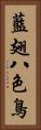 藍翅八色鳥 Vertical Portrait