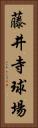 藤井寺球場 Vertical Portrait