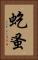 虼蚤 Vertical Portrait