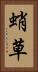 蛸草 Vertical Portrait