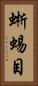 蜥蜴目 Vertical Portrait