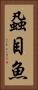 蝨目魚 Vertical Portrait