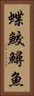 蝶鮫 Vertical Portrait