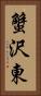 蟹沢東 Vertical Portrait