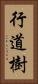 行道樹 Vertical Portrait