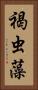 褐虫藻 Vertical Portrait