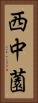 西中薗 Vertical Portrait