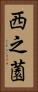 西之薗 Vertical Portrait