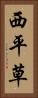 西平草 Vertical Portrait
