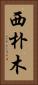 西朴木 Vertical Portrait