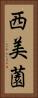 西美薗 Vertical Portrait