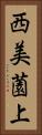 西美薗上 Vertical Portrait