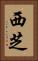 西芝 Vertical Portrait
