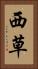 西草 Vertical Portrait