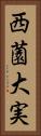 西薗大実 Vertical Portrait