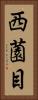 西薗目 Vertical Portrait
