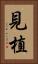見植 Vertical Portrait