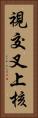 視交叉上核 Vertical Portrait