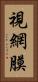 視網膜 Vertical Portrait