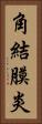 角結膜炎 Vertical Portrait