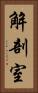 解剖室 Vertical Portrait
