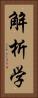 解析学 Vertical Portrait
